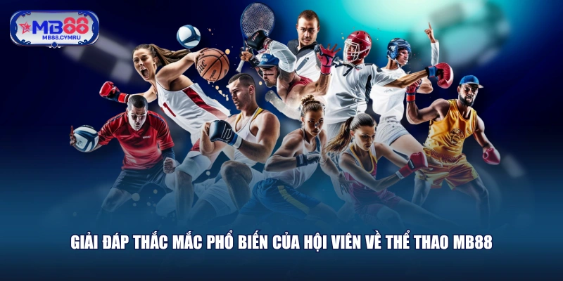 Giải đáp thắc mắc phổ biến của hội viên về Thể Thao MB88