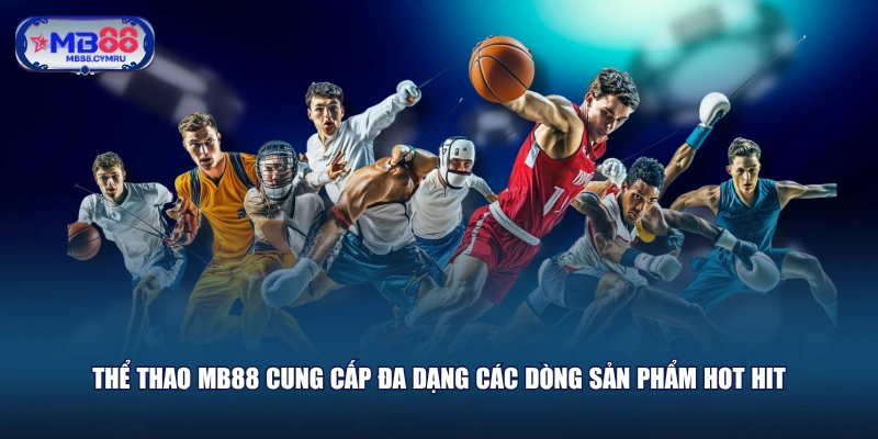 Thể Thao MB88 cung cấp đa dạng các dòng sản phẩm hot hit